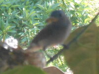 DSCN8762.JPG