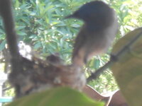 DSCN8763.JPG