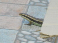 DSCN8911_new.jpg