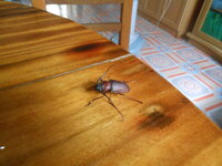 DSCN8943.JPG