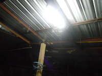 DSCN8940.JPG