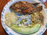 DSCN8984_new.jpg