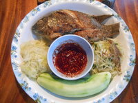 DSCN8985_new.jpg
