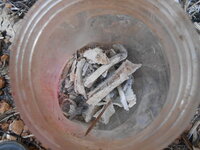 DSCN8803.JPG
