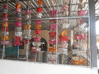 DSCN8812.JPG
