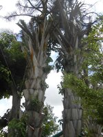 IMG_20180601_203857.jpg