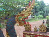 DSCN8838.JPG