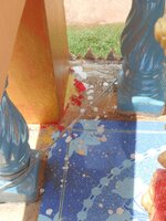 IMG_20180601_204356.jpg