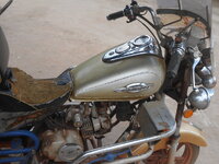 DSCN8849.JPG