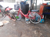 DSCN8972_new.jpg
