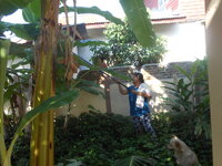 DSCN9015_new.jpg