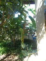 IMG_20180601_203058.jpg