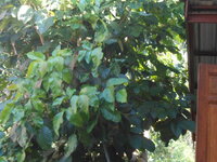 DSCN9019_new.jpg