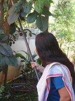 IMG_20180601_203237.jpg