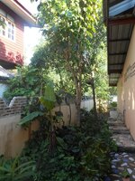 IMG_20180601_203346.jpg