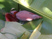 DSCN9017_new.jpg
