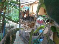 DSCN9045_new.jpg
