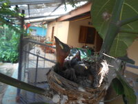 DSCN9042_new.jpg