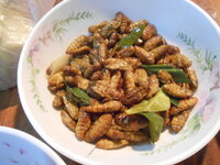 DSCN8463.JPG