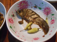 DSCN8464.JPG