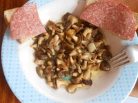 DSCN9027.JPG