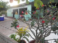 DSCN9112.JPG