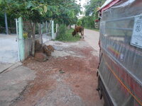 DSCN9105.JPG