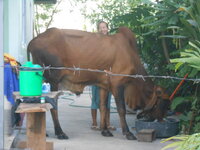 DSCN9109.JPG