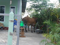DSCN9110.JPG