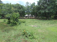 DSCN9311.JPG