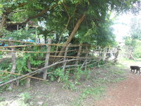 DSCN9307.JPG