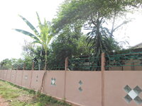 DSCN9309_new_new.jpg
