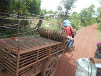 DSCN9305.JPG