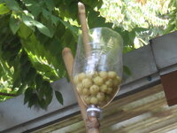 DSCN9286_new.jpg