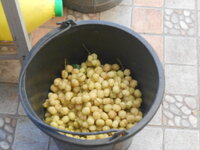 DSCN9287_new.jpg