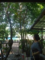 IMG_20191024_200624.jpg