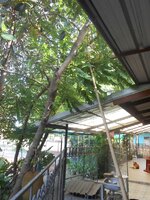 IMG_20191024_200552.jpg