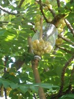 IMG_20191024_200351.jpg