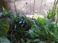 DSCN9290_new.jpg