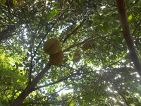 DSCN9292_new.jpg
