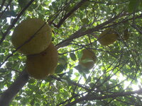 DSCN9293_new.jpg