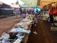 DSCN9166.JPG