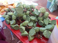 DSCN9162.JPG