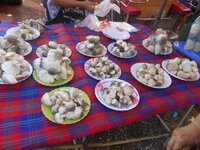 DSCN9174.JPG