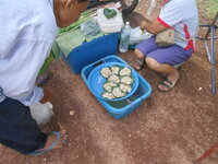 DSCN9163.JPG