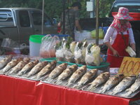 DSCN9180.JPG