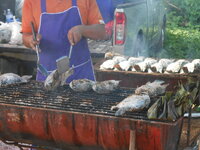 DSCN9181.JPG