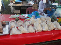 DSCN9183.JPG