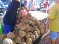DSCN9178.JPG