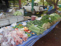 DSCN9190.JPG